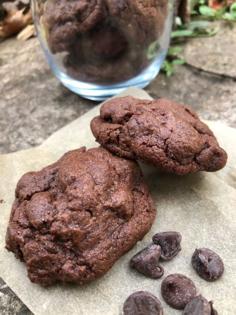 Chocolate Chocolate Cookies -- Chewy, fudgy brownies in easy-to-make cookie form. A double dose of chocolate to make any day a bit better. | thatwhichnourishes.com