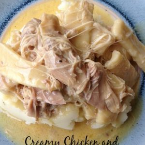 Creamy Chicken and Homemade Noodles -- Tender chicken floats in creamy gravy and homemade noodles are the icing on the cake.| thatwhichnourishes.com