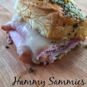 Hammy Sammies -- The best ham sandwich you've ever had, hands down. | thatwhichnourishes.com