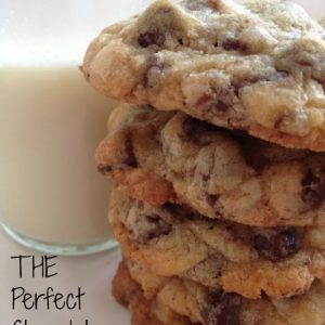 THE Perfect Chocolate Chip Cookie -- The perfect chocolate chip cookie. Enough said. | thatwhichnourishes.com