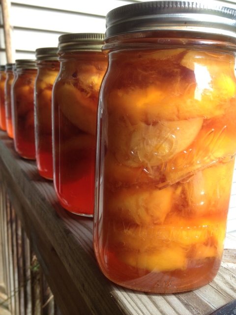 pickled peaches