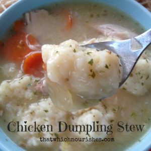 Chicken Dumpling Stew o-- This is what you want when you need true nourishment. Fluffy, seasoned dumplings swim over a rich, hearty chicken stew full of vegetables and goodness. | thatwhichnourishes.com