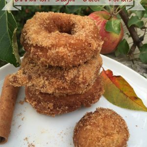 Cinnamon Sugar Cider Donuts -- Homemade cider donuts fried in coconut oil for all of the fall deliciousness without the guilt! | thatwhichnourishes.com