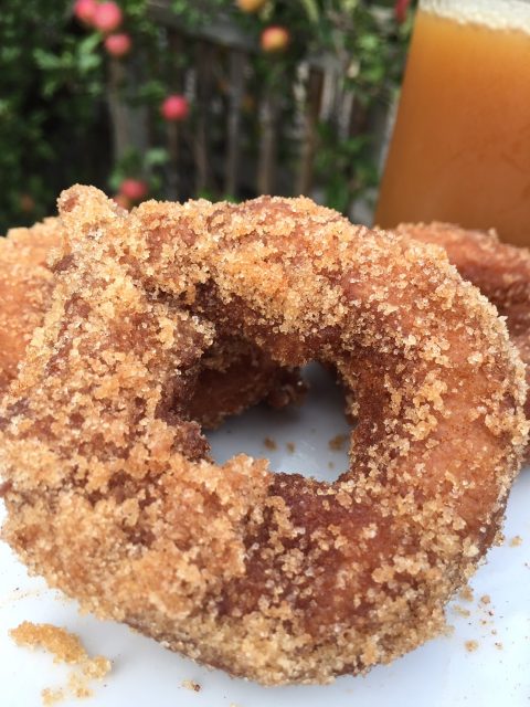Cinnamon Sugar Cider Donuts -- Homemade cider donuts fried in coconut oil for all of the fall deliciousness without the guilt! | thatwhichnourishes.com