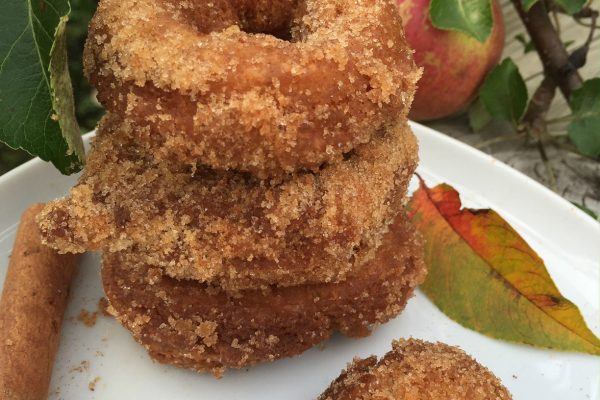Cinnamon Sugar Cider Donuts -- Homemade cider donuts fried in coconut oil for all of the fall deliciousness without the guilt! | thatwhichnourishes.com