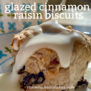 Glazed Cinnamon Raisin Biscuits -- Tender, flaky, buttery biscuits made from scratch and studded with plump raisins and flavored with cinnamon and then finished off with a drizzle of sweetness. | thatwhichnourishes.com